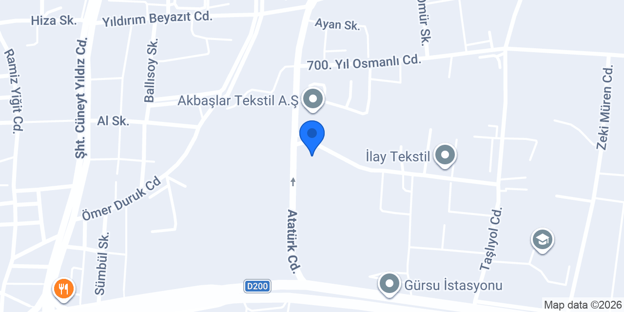 Veskim-Bursa konumu