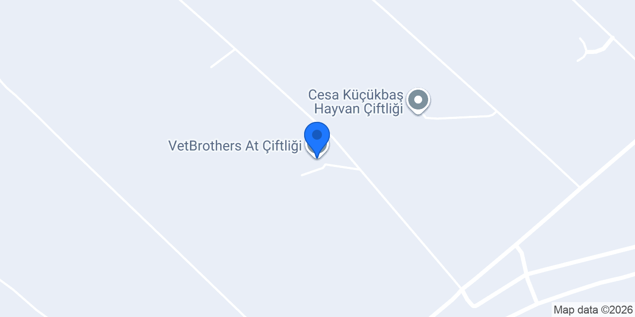 VetBrothers At Çiftliği konumu