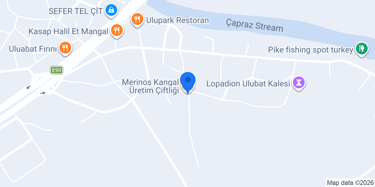 Merinos Kangal Üretim Çiftliği konumu
