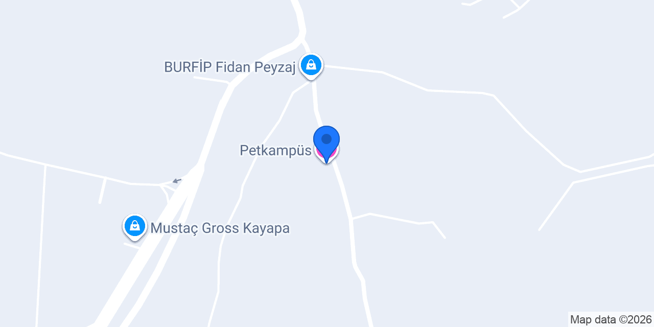 Petkampüs konumu