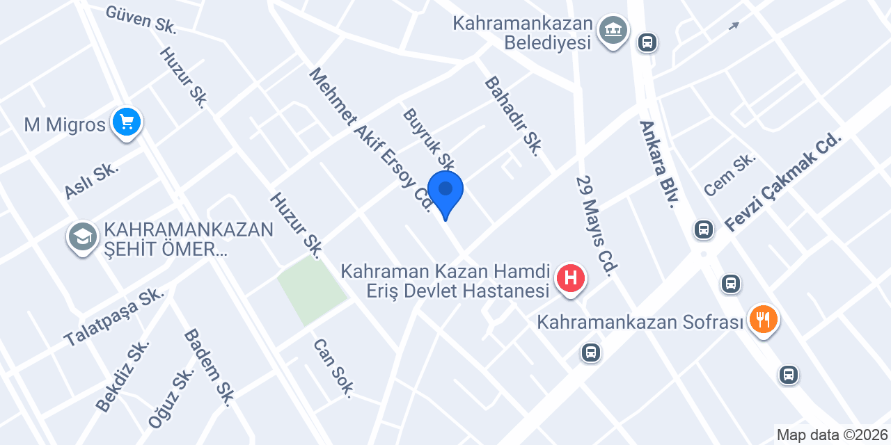 Net Elektronik konumu