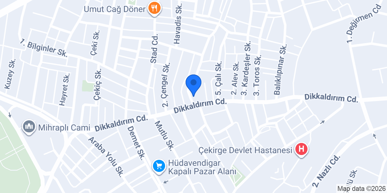 Bursa mutfak konumu