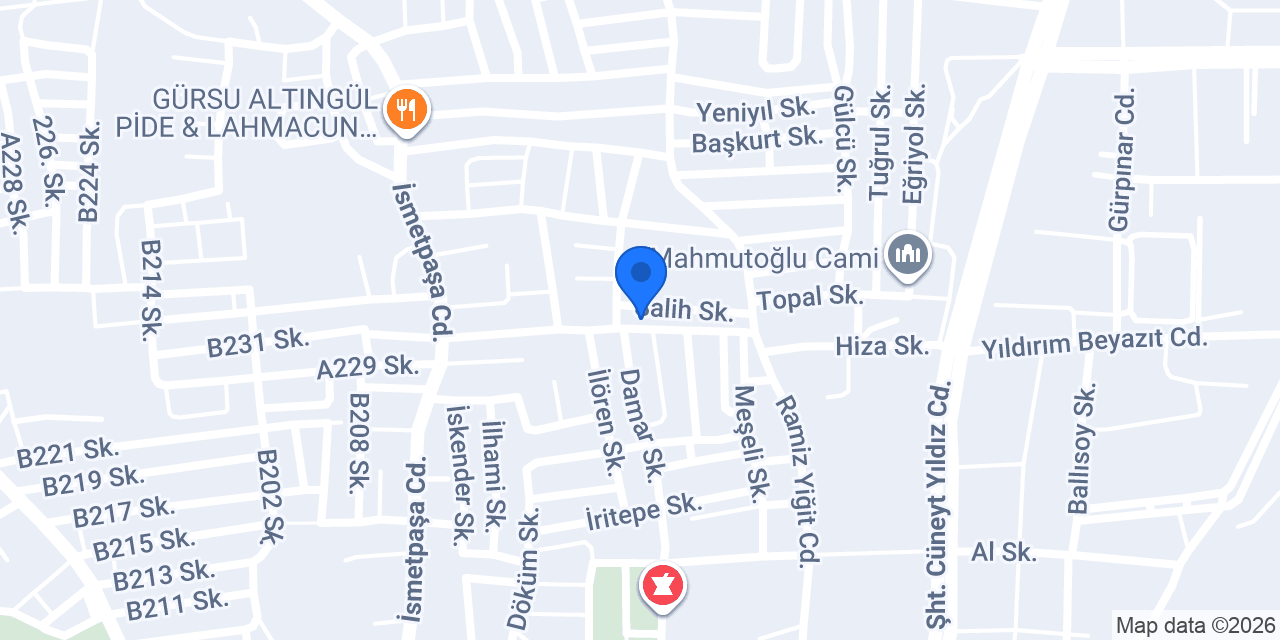 Özer Ticaret Gürsu konumu