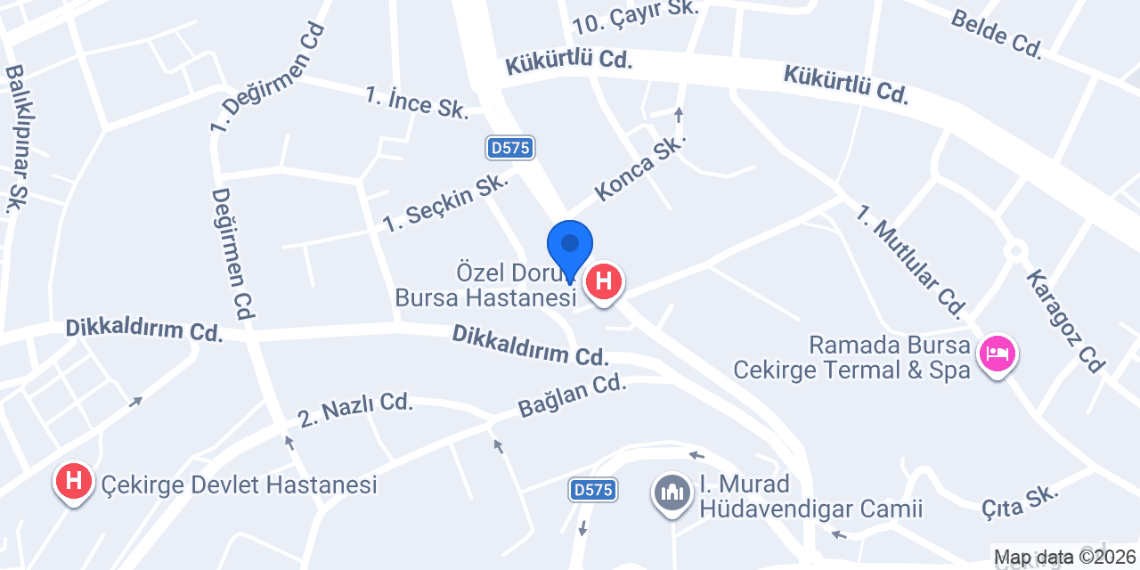 Uludağa taksi konumu