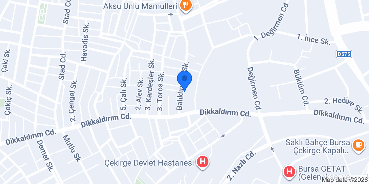 Kır Çiçekçilik konumu