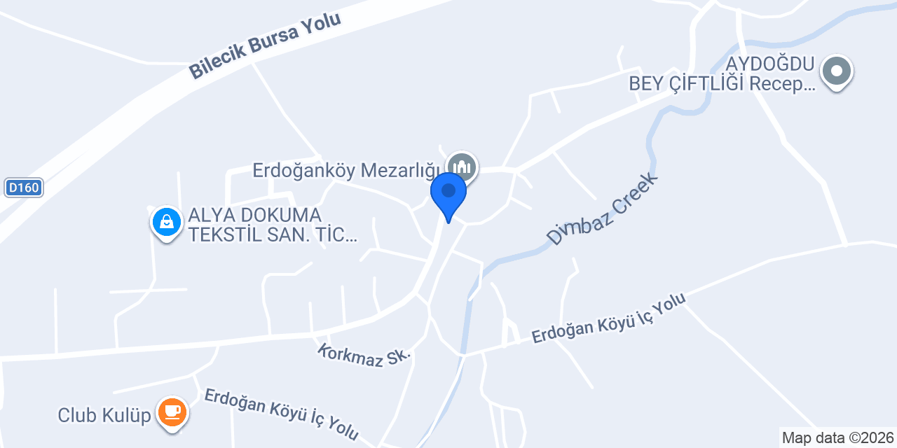 Bursa Yatırım Emlak Danışmanlığı konumu
