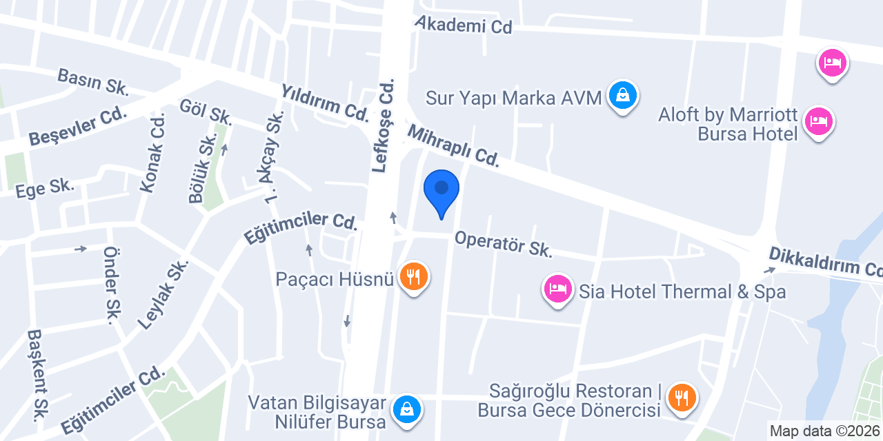 Bursa Kayropraktik konumu