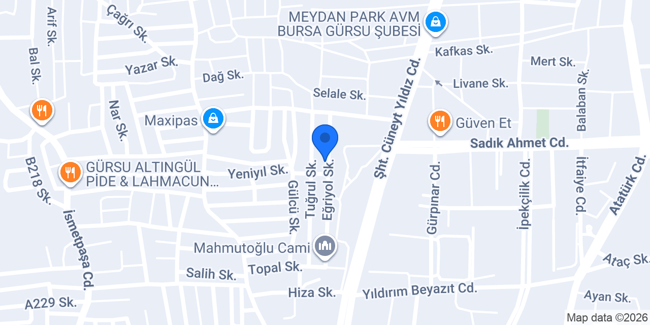 Esmer Halı Yıkama (Gürsu) konumu