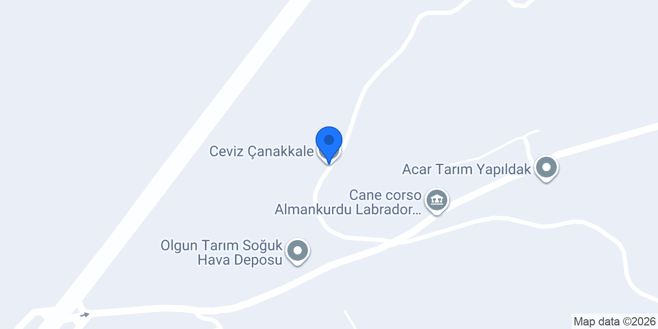 Ceviz Çanakkale konumu