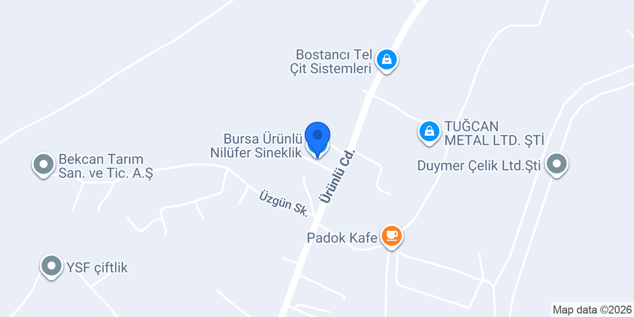 Bursa Ürünlü Nilüfer Sineklik konumu