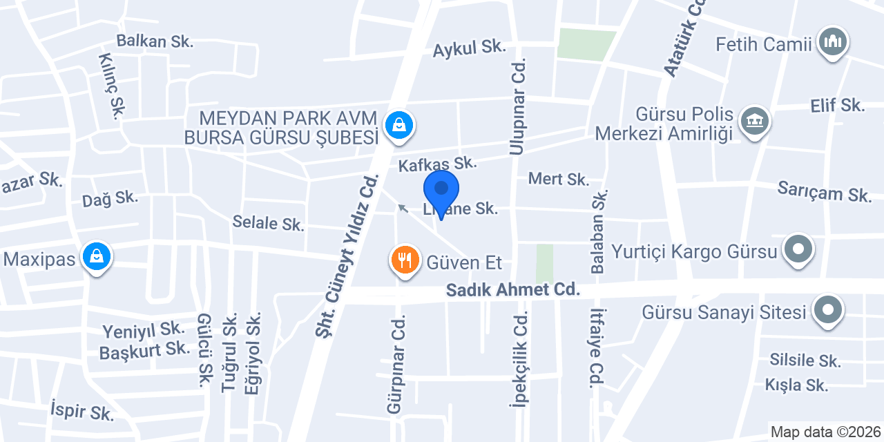 Sürat Kargo Gürsu Şube konumu