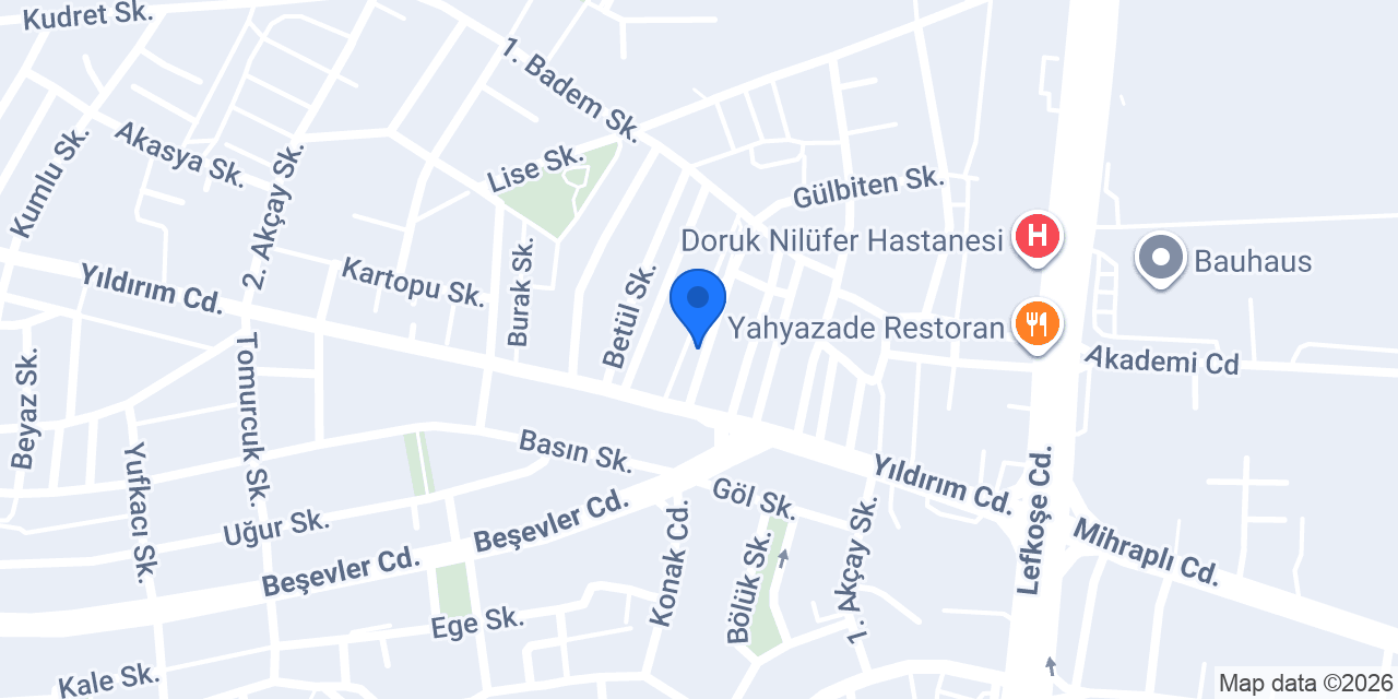 BOZKURT AUTO GARAGE konumu