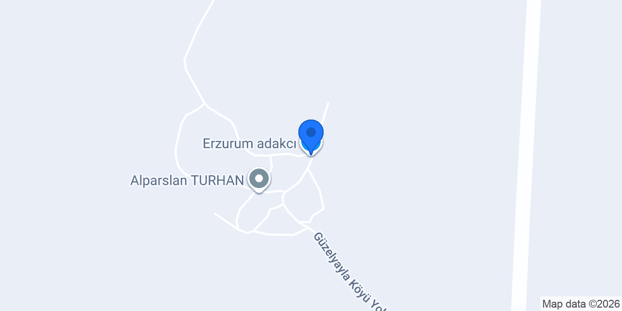 Erzurum adakcı konumu