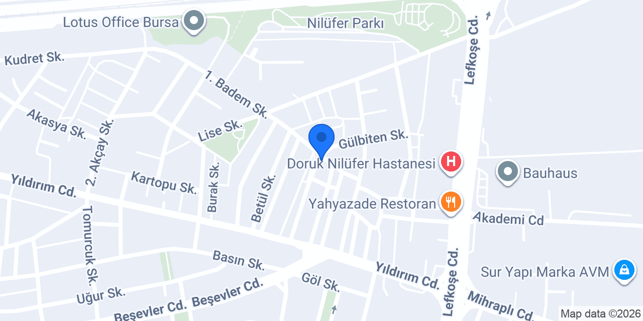 Tema Ozalit konumu