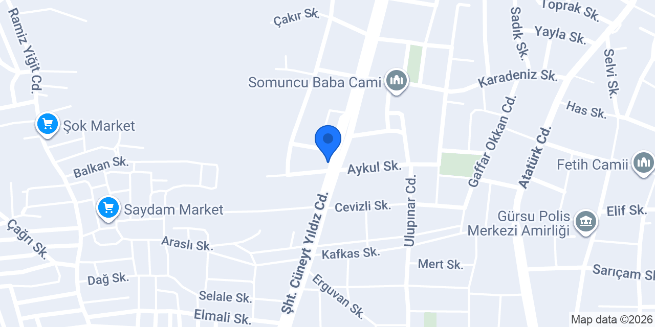 Aday Vinç Bursa Kiralık Vinç konumu