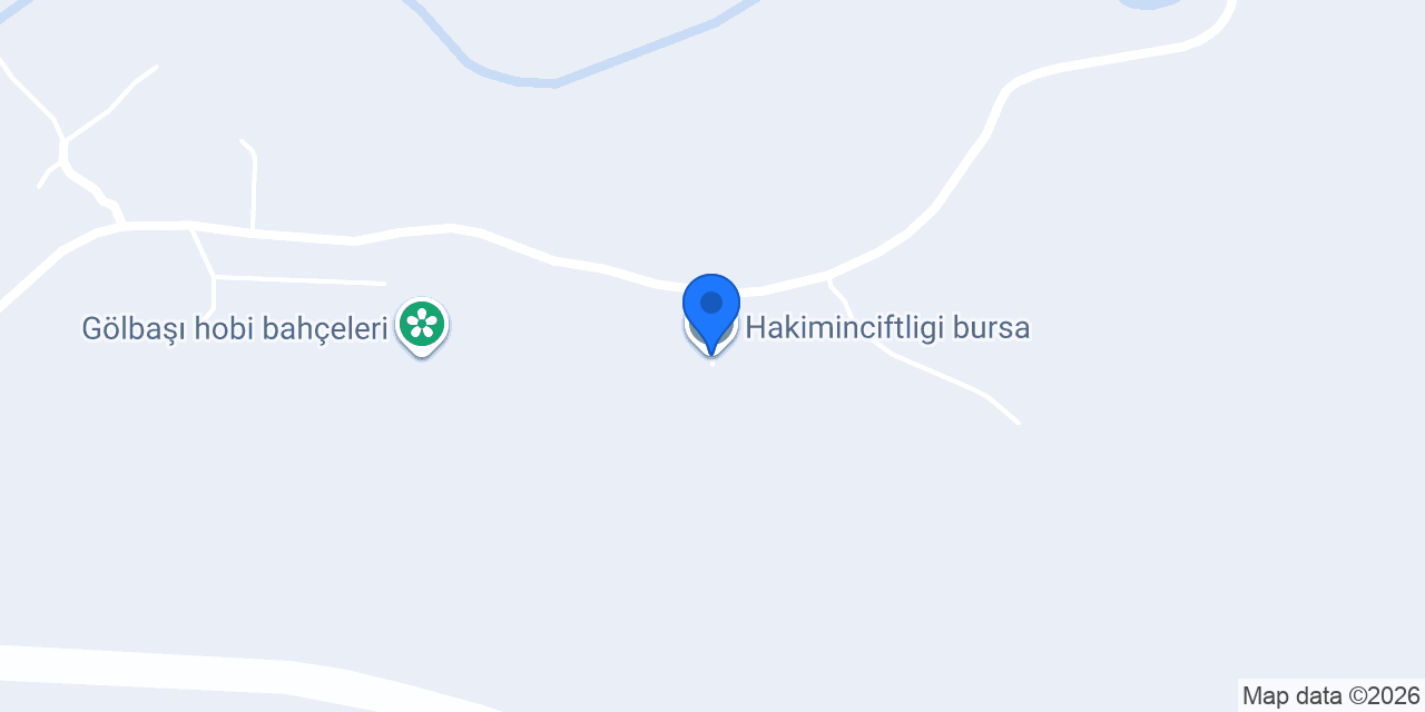 Hakiminciftligi bursa konumu