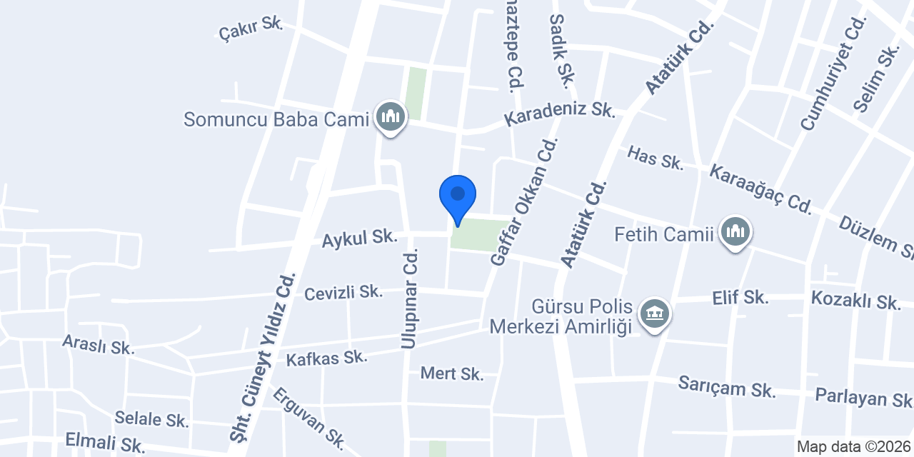 Gürsü Erguvan Parkı konumu