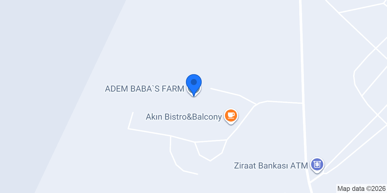ADEM BABA`S FARM konumu