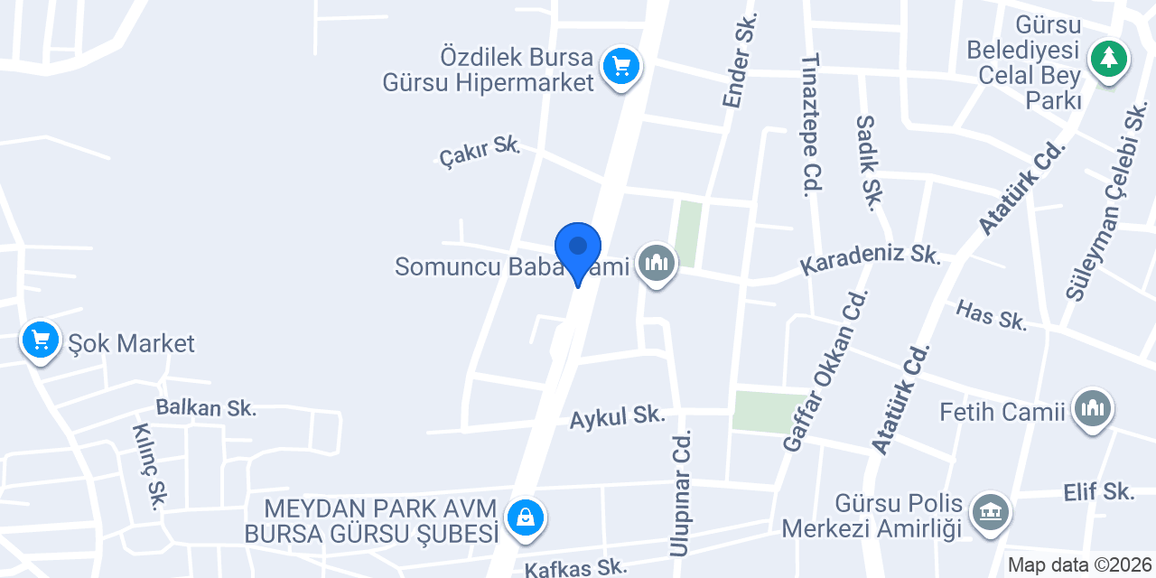 Reis Pilav Gürsu konumu