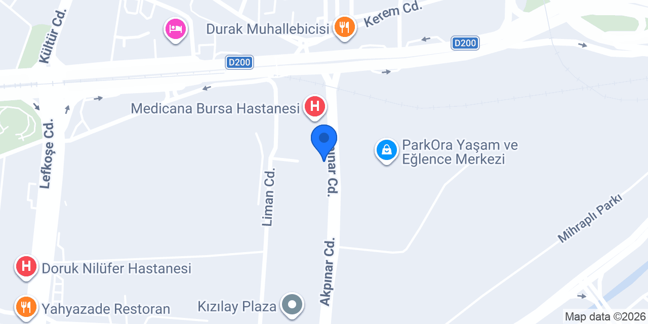 PwC Türkiye Bursa Ofis konumu