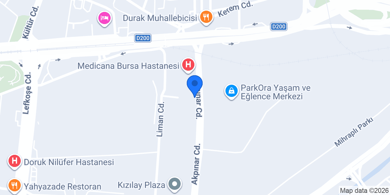 EY Türkiye Bursa Ofisi konumu