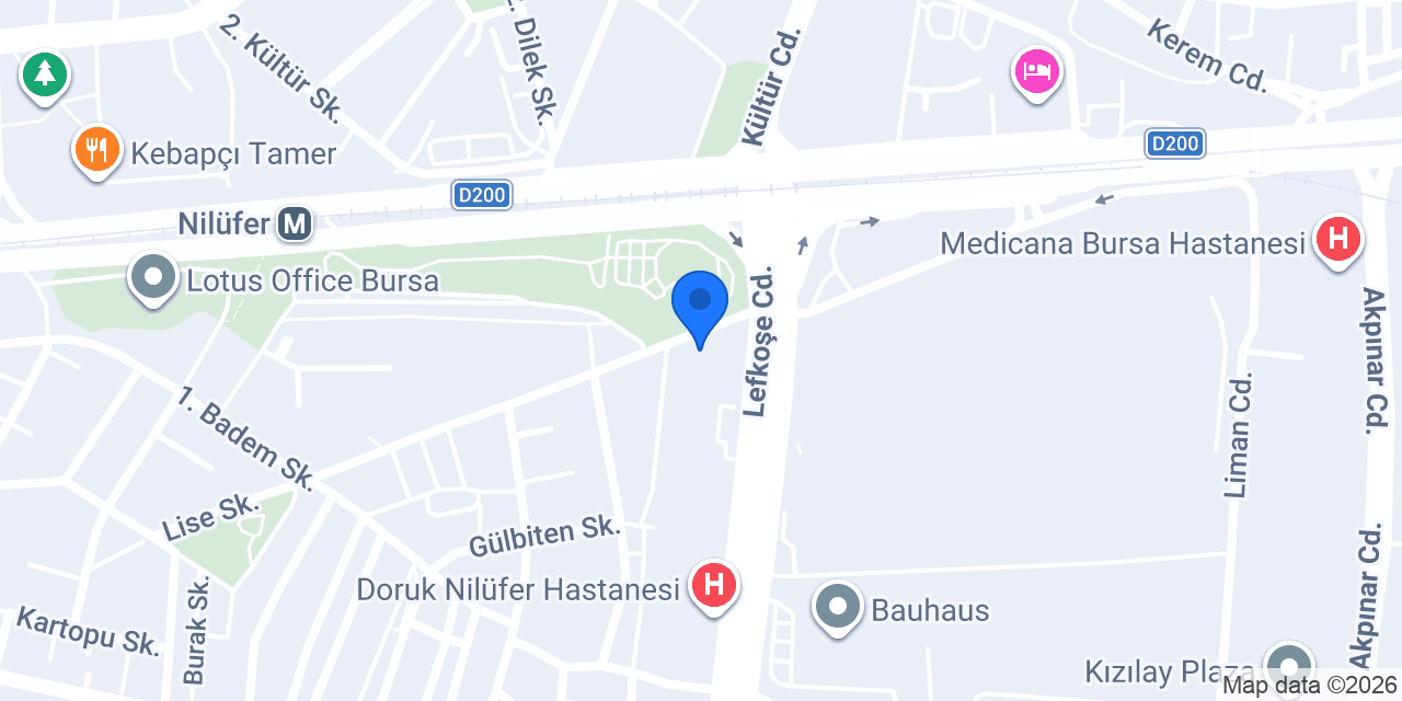 Nilüfer Balıkçısı konumu
