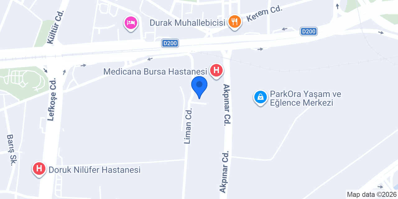 Bursa Dermatolog Uzman Doktor Ebru Zehra Aygün konumu