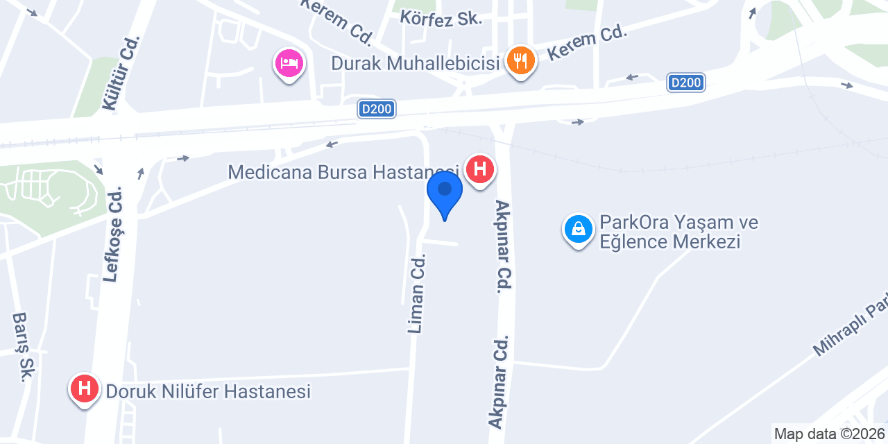 İstanbul Ticaret Üniversitesi Bursa Yerleşkesi konumu