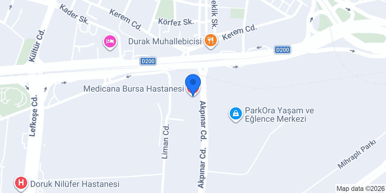 Medicana Bursa Hastanesi konumu