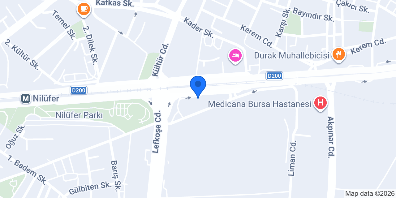 Çiçek Izgara Nilüfer konumu