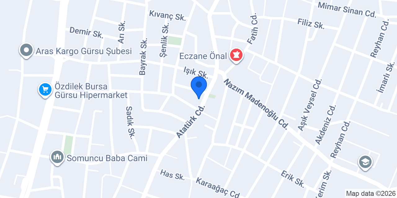 ÇELİK RENT A CAR konumu