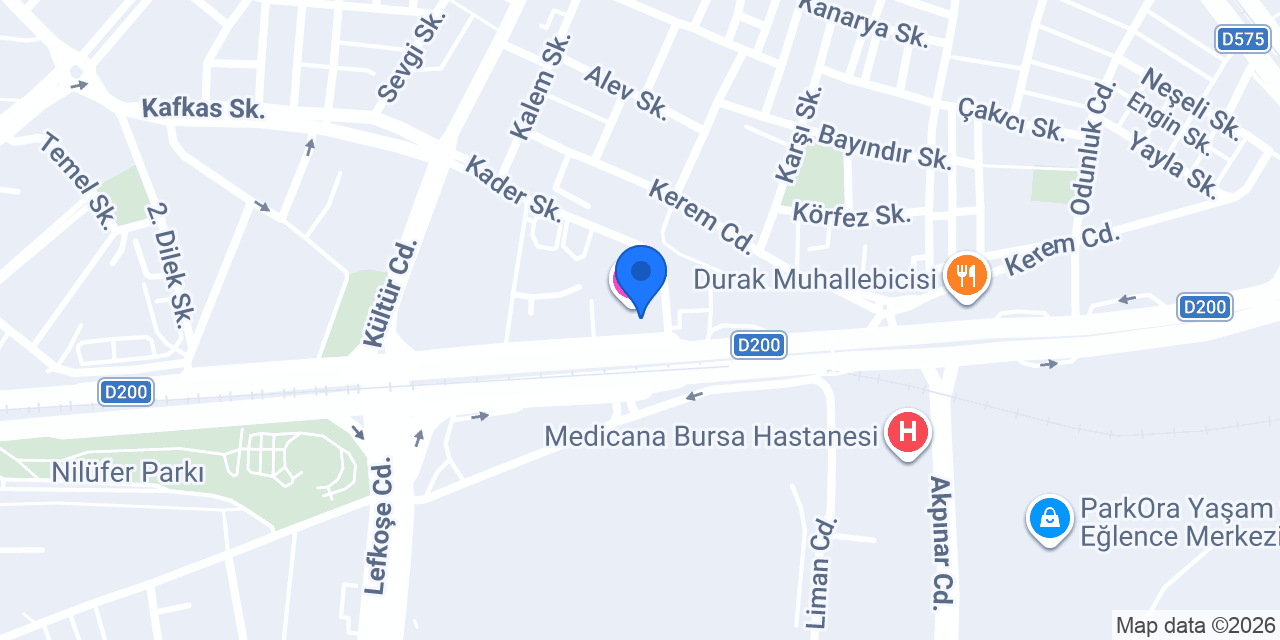 HALI DÜNYASI konumu