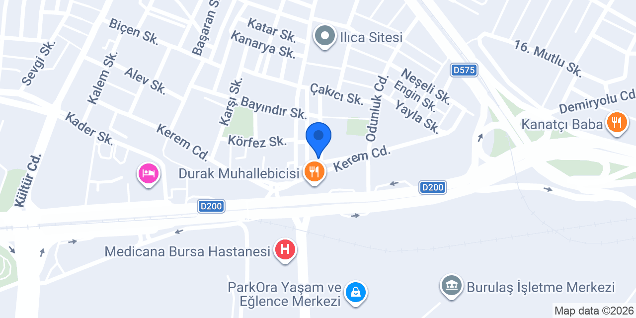 Bursa Direksiyon Dersi Eğitmeni Özkan Hoca konumu
