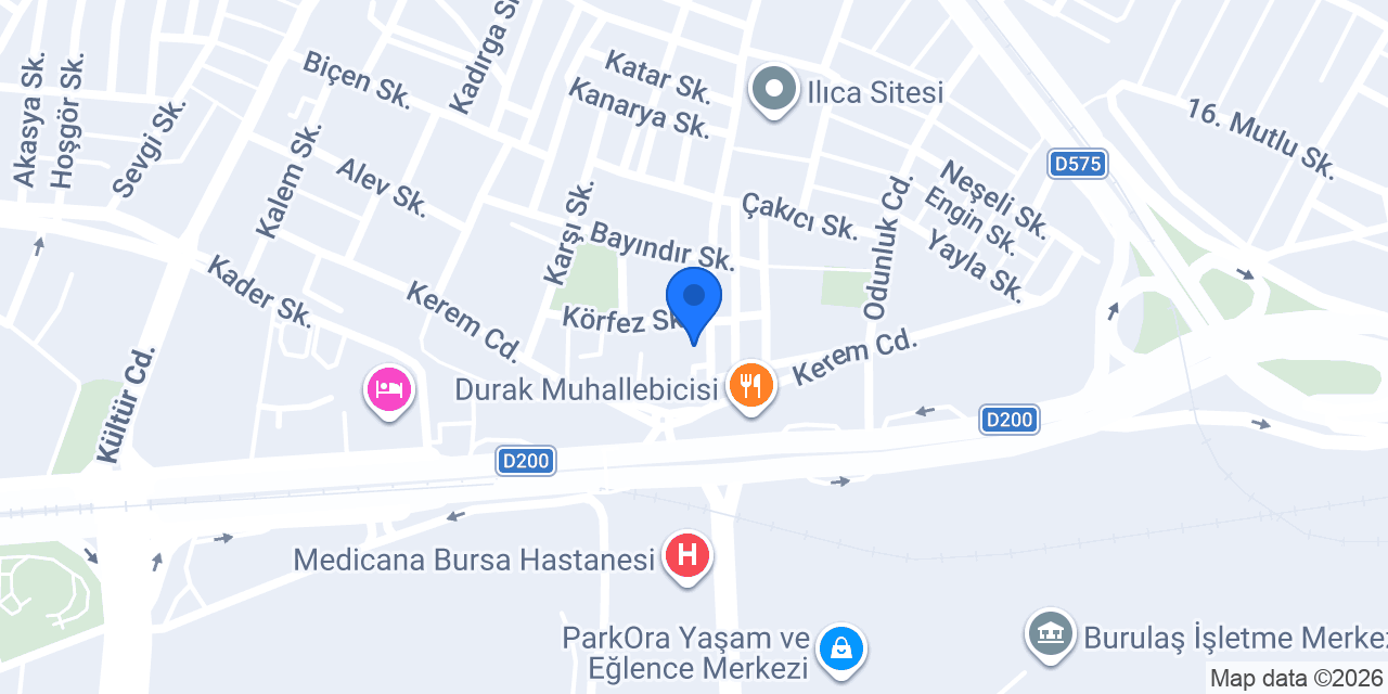 Nilüfer Evden Eve Taşımacılık konumu