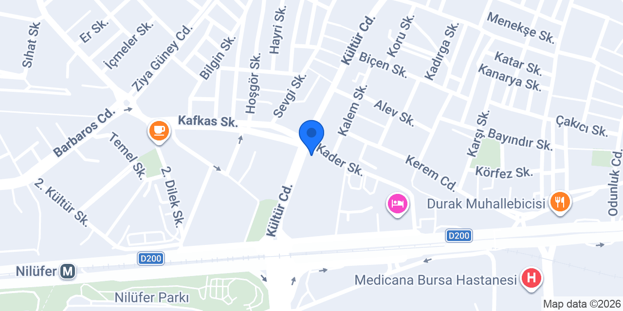 Nilüfer Taksi konumu