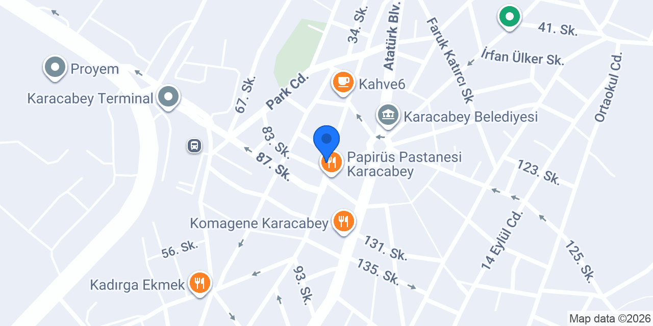 PETLAS-Saygısever Ticaret konumu