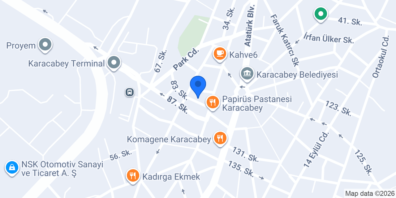 VG Veteriner Kliniği Karacabey konumu