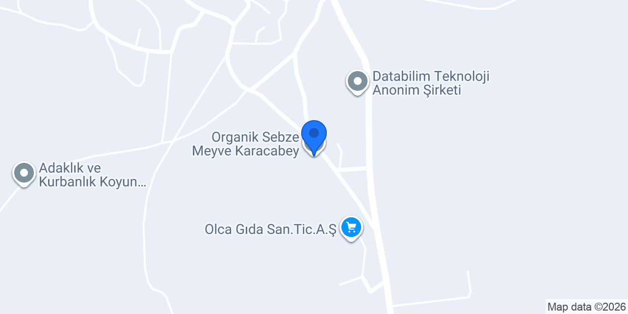 Organik Sebze Meyve Karacabey konumu