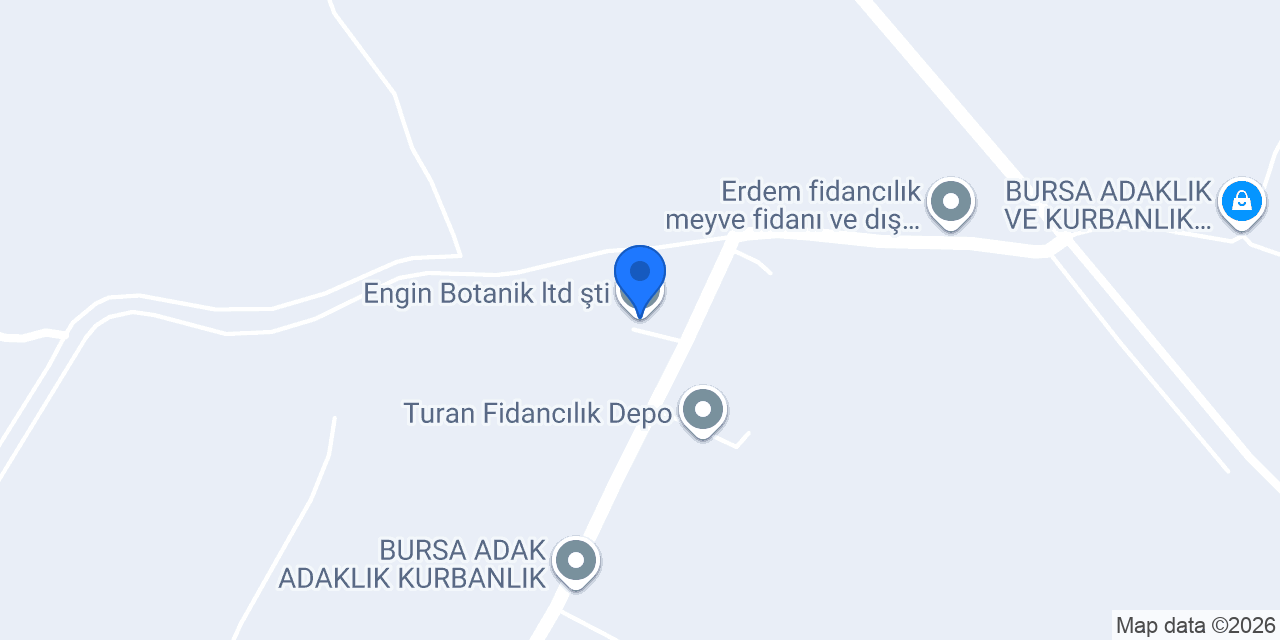 Engin Botanik ltd şti konumu