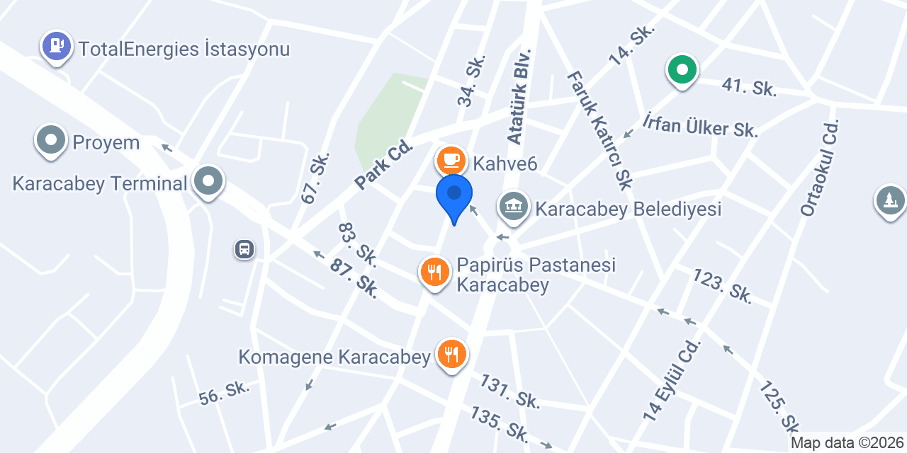 Salon Kasım Arı konumu