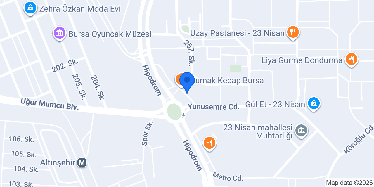 BURSA VIP OTOMOTİV konumu