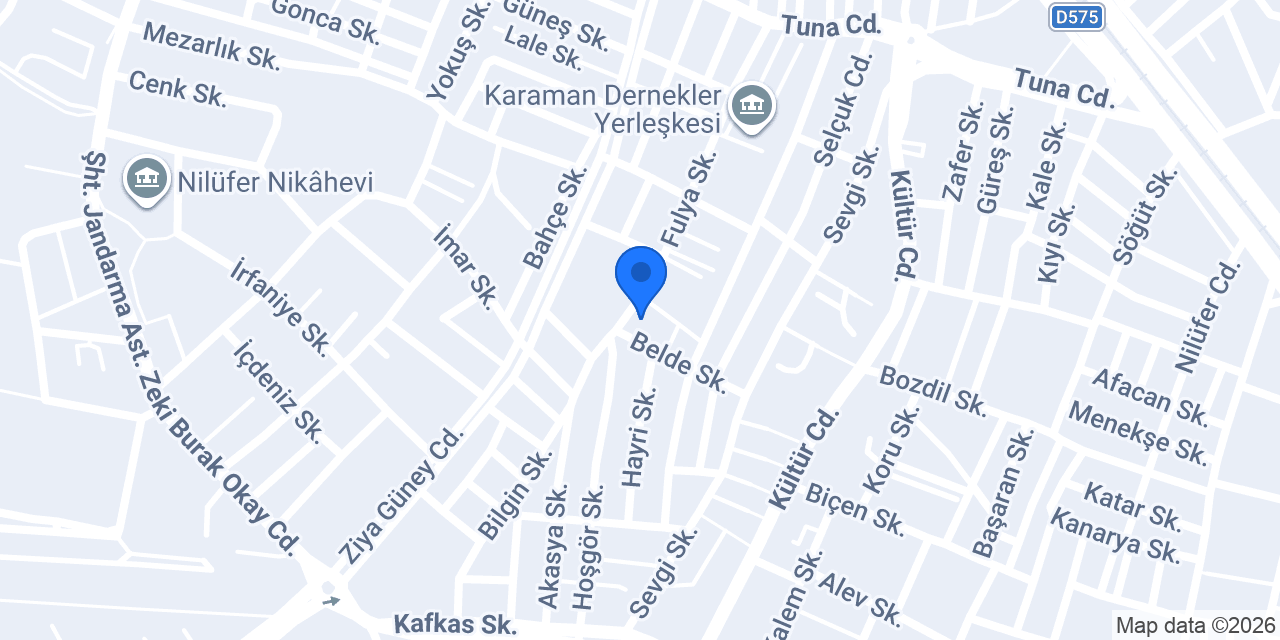 Vadi Elektrik konumu