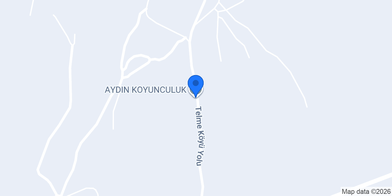 AYDIN KOYUNCULUK konumu