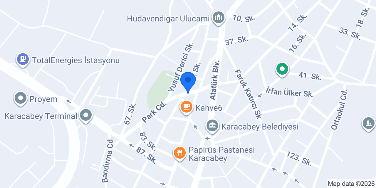 Kayrapraktik konumu
