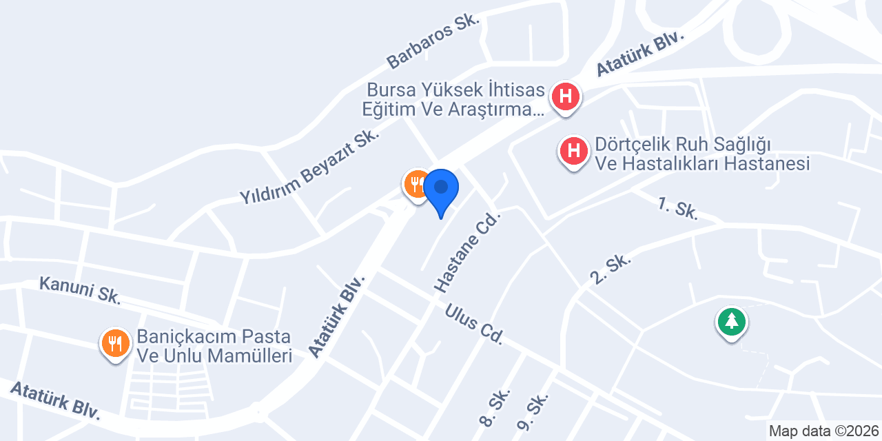 Bursa Balkan Temizlik konumu