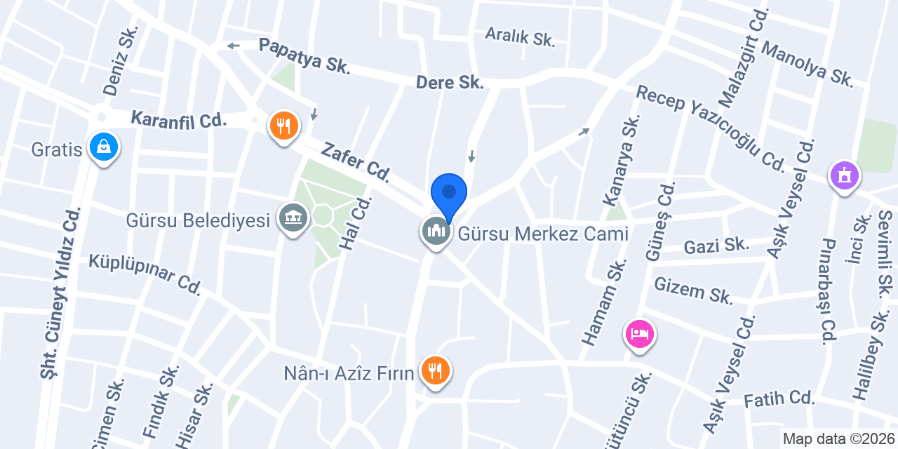 Gürsu Taksi konumu