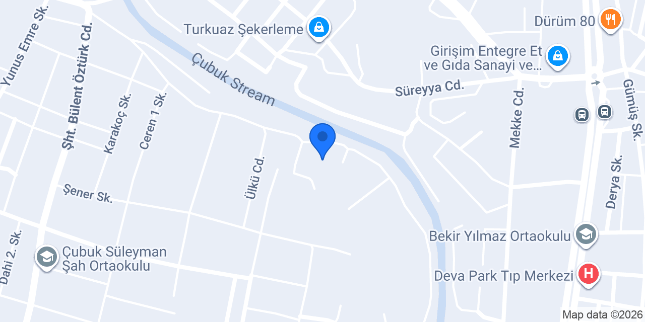 Çelik Besicilik konumu