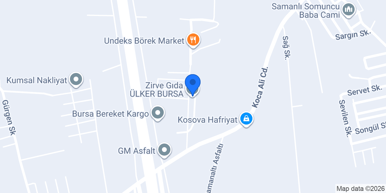 POLEKS GIDA BURSA MEYVE SEBZE DEPO konumu