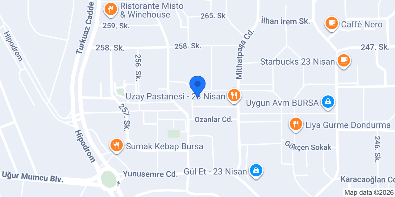 Elifhome Bursa Nilüfer konumu