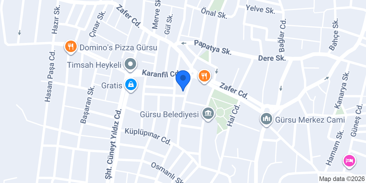 Western Union konumu